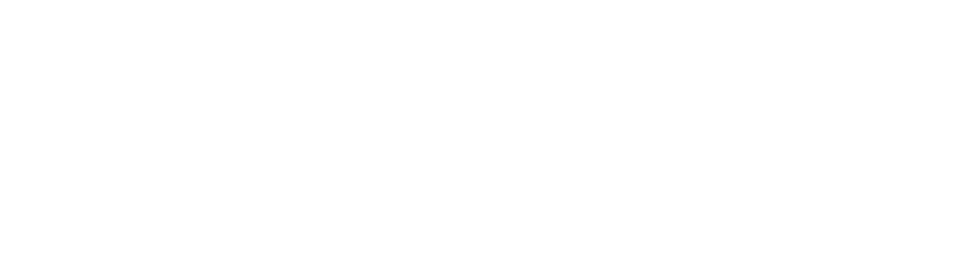 ai-logo-1